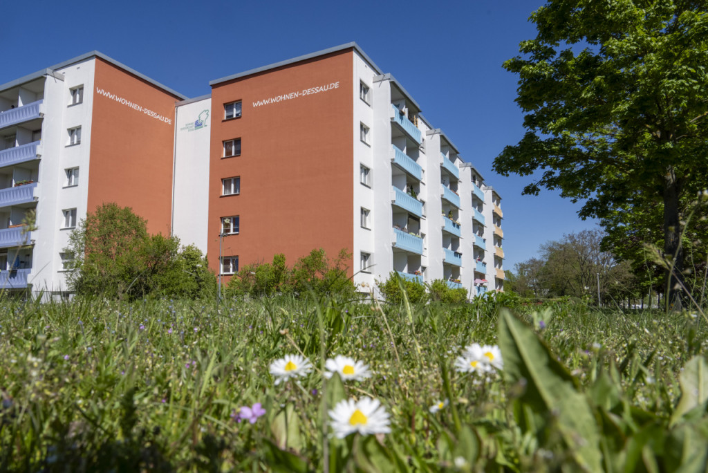 Bild 1 : 3-RWE im Zentrum
